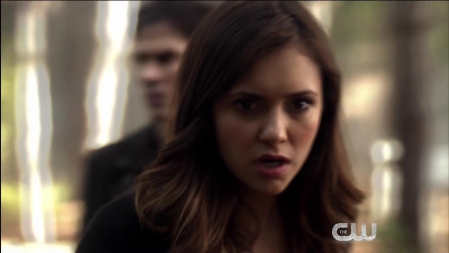 TVD_425.JPG