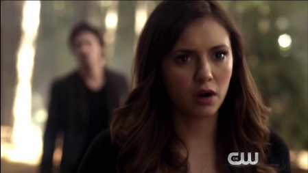 TVD_428.JPG