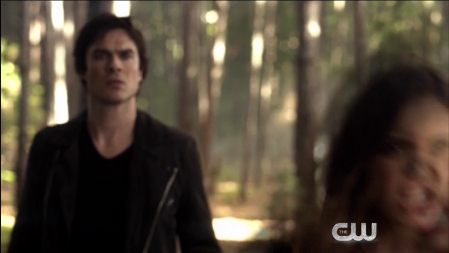 TVD_432.JPG