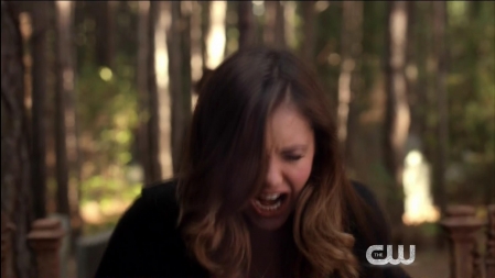 TVD_433.JPG