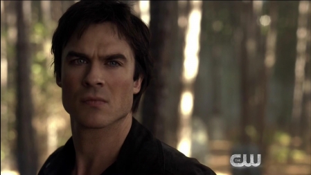 TVD_436.JPG