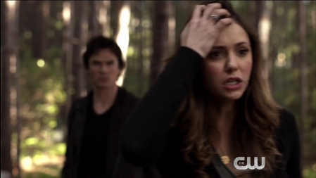 TVD_440.JPG