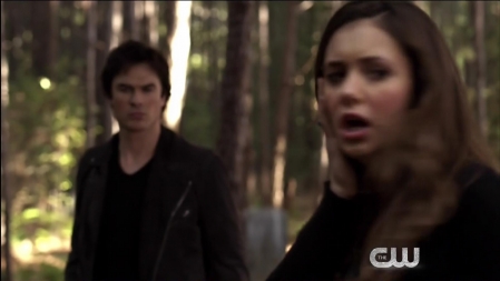 TVD_441.JPG