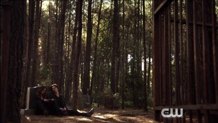 TVD_449.JPG