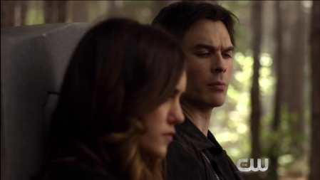 TVD_450.JPG