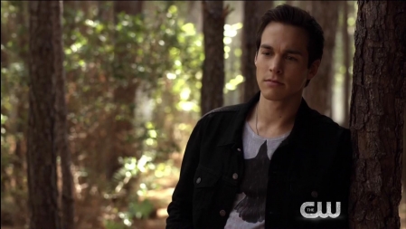 TVD_454.JPG