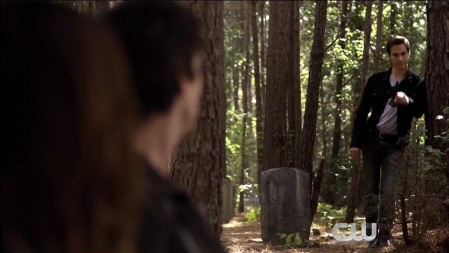 TVD_455.JPG
