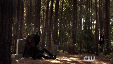 TVD_456.JPG