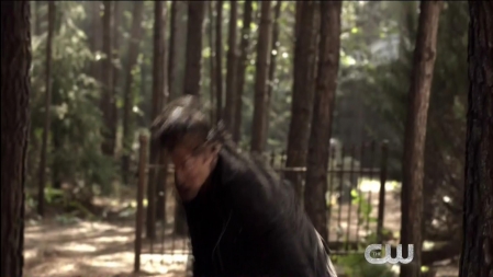 TVD_458.JPG