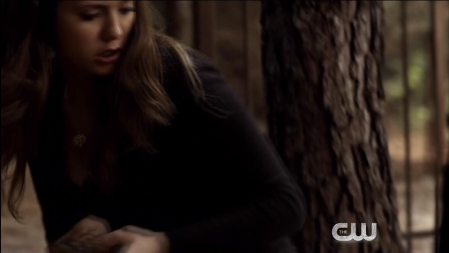 TVD_465.JPG