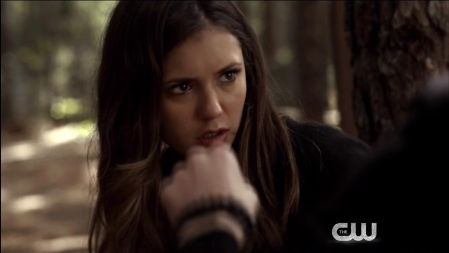 TVD_467.JPG