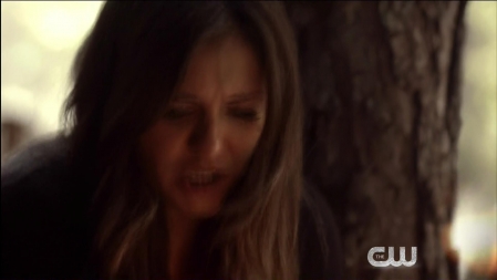 TVD_469.JPG