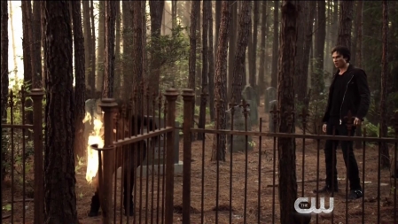 TVD_476.JPG