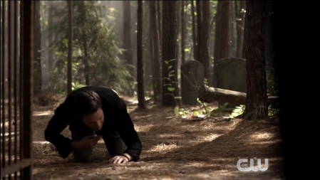 TVD_477.JPG