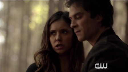 TVD_480.JPG