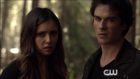 TVD_486.JPG