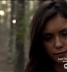 TVD_053.JPG