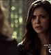 TVD_065.JPG