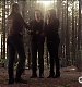 TVD_082.JPG