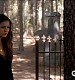TVD_087.JPG