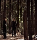 TVD_088.JPG