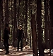 TVD_089.JPG
