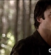 TVD_103.JPG