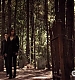 TVD_105.JPG