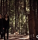 TVD_106.JPG