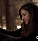 TVD_443.JPG