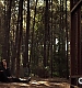 TVD_446.JPG