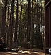 TVD_448.JPG