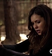 TVD_451.JPG