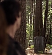 TVD_455.JPG