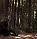 TVD_456.JPG