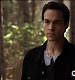 TVD_460.JPG