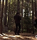 TVD_461.JPG
