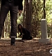 TVD_463.JPG