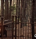 TVD_475.JPG