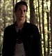 TVD_485.JPG