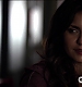 TVD_132.JPG