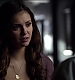 TVD_179.JPG