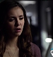 TVD_181.JPG