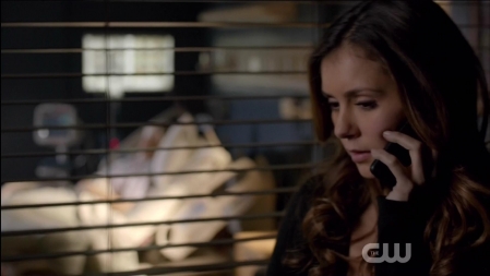 TVD_180.JPG