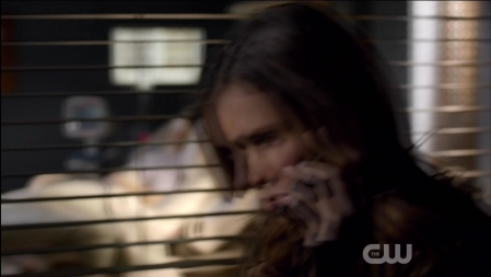 TVD_181.JPG