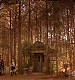 0800.jpg