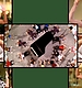 AMERICAN_215.JPG