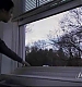 1306.jpg