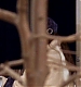 DEGRASSI_197.JPG