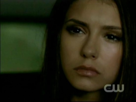 TVD_072.JPG